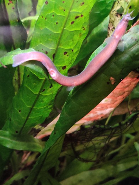 IMG_20210925_104209.jpg IMG_20210925_104209.jpg