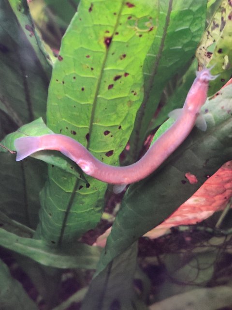 IMG_20210925_104152.jpg IMG_20210925_104152.jpg