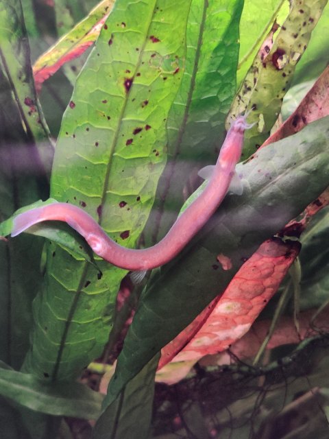 IMG_20210925_104145.jpg IMG_20210925_104145.jpg