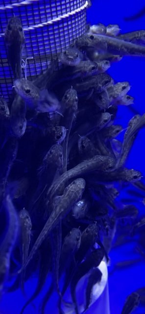 5DC2E838-121A-48E0-8F50-871CE334FE14.jpeg