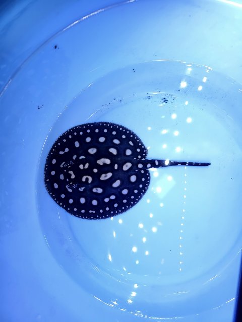 20210926_170719.jpg