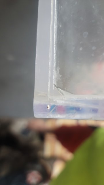 20210926_192625.jpg 20210926_192625.jpg