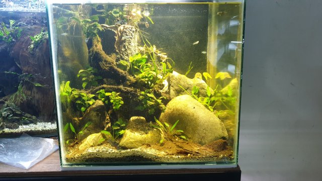 20210828_211949.jpg