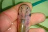 DSC00466.JPG