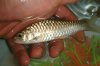 DSC00459.JPG
