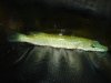 DSC04106.JPG