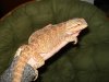 DSC00089.JPG
