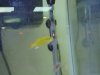 DSC00287.JPG