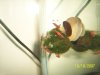 000_5171.JPG