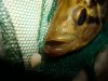 DSC01022.JPG