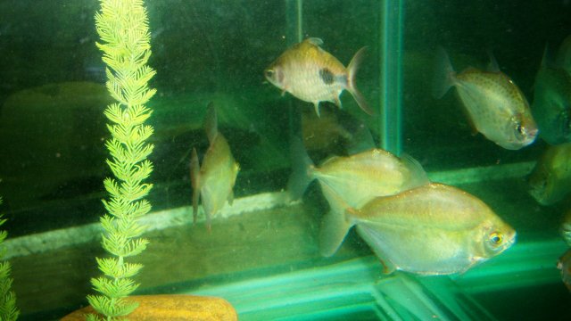 100_9918.JPG