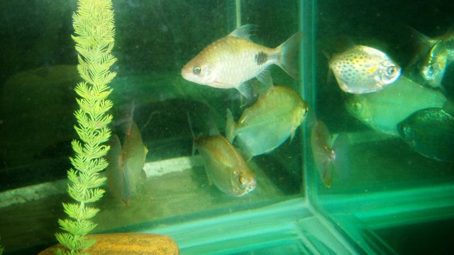 100_9919.JPG