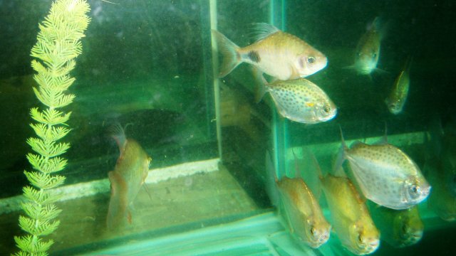 100_9921.JPG