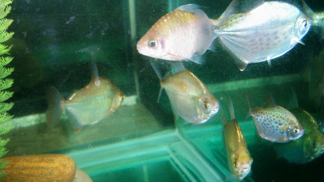 100_9922.JPG