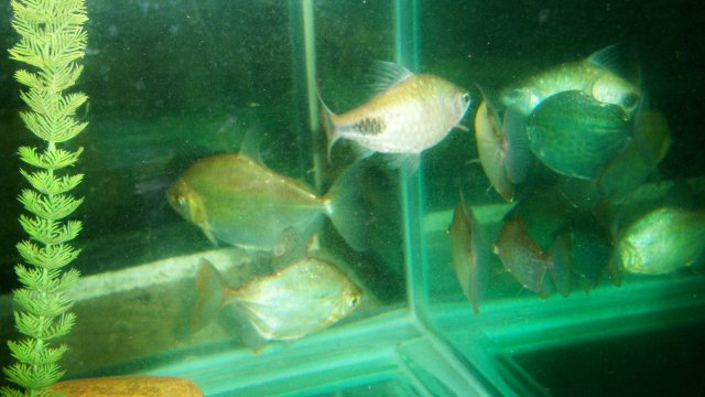 100_9923.JPG