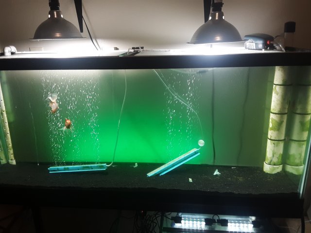 20210929_205353.jpg