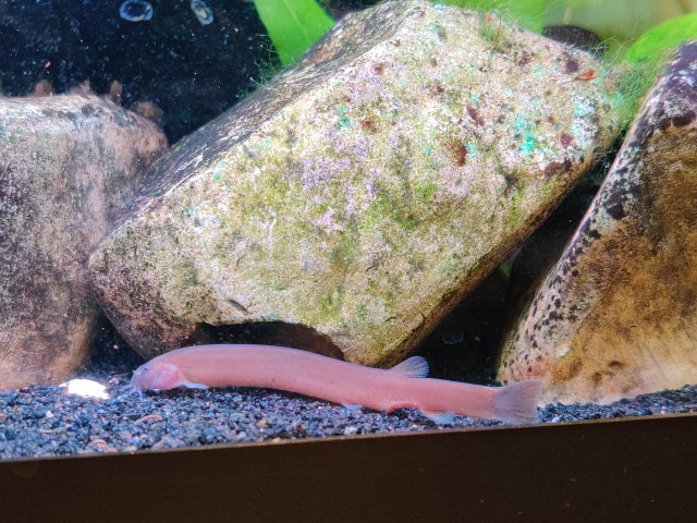 IMG_20211002_105042.jpg IMG_20211002_105042.jpg