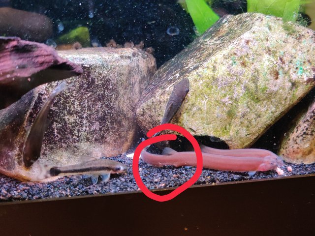 IMG_20211002_104456__01.jpg IMG_20211002_104456__01.jpg