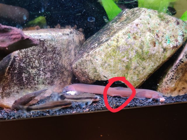 IMG_20211002_104459__02.jpg IMG_20211002_104459__02.jpg