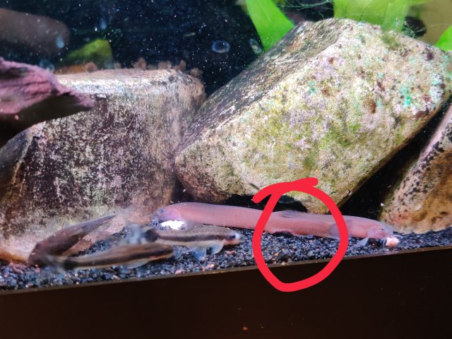 IMG_20211002_104459__01.jpg IMG_20211002_104459__01.jpg