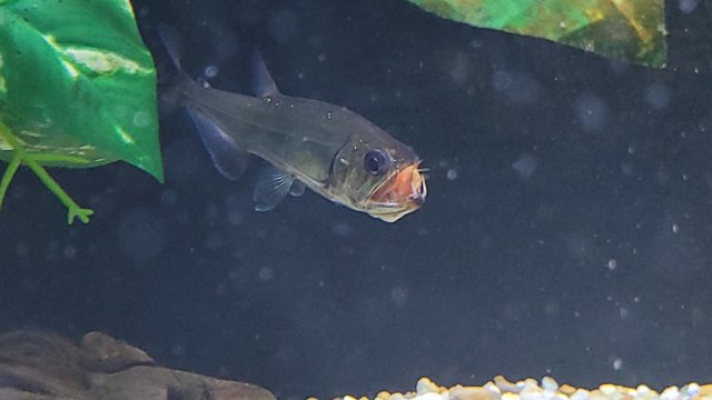 20210930_183718.jpg