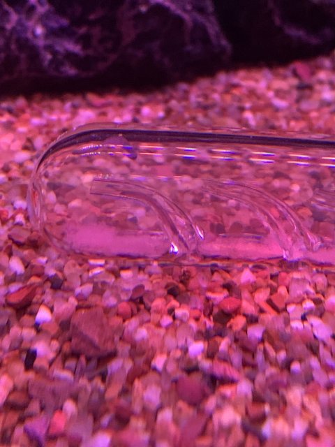 61FA74EC-6323-4A5A-B7AC-EFA89786C2C1.jpeg 61FA74EC-6323-4A5A-B7AC-EFA89786C2C1.jpeg