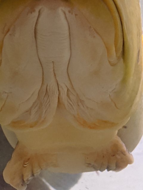 PXL_20211005_183843246.jpg