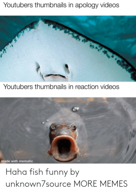 haha-fish-funny-by-unknown7source-more-memes-72579741.png