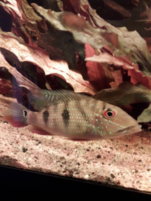 20191003_140316.jpg