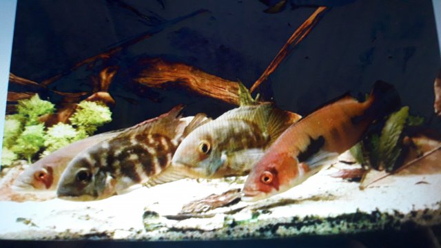 20200908_083939.jpg