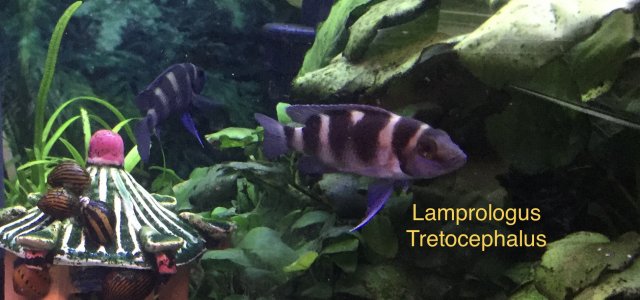 FC3FD610-52A6-4196-B43B-4D3BD965ACA8.jpeg FC3FD610-52A6-4196-B43B-4D3BD965ACA8.jpeg