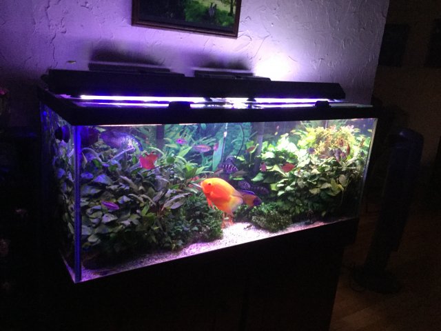 4E82BDAF-64FC-46D2-9CB9-AD64167F673D.jpeg 4E82BDAF-64FC-46D2-9CB9-AD64167F673D.jpeg