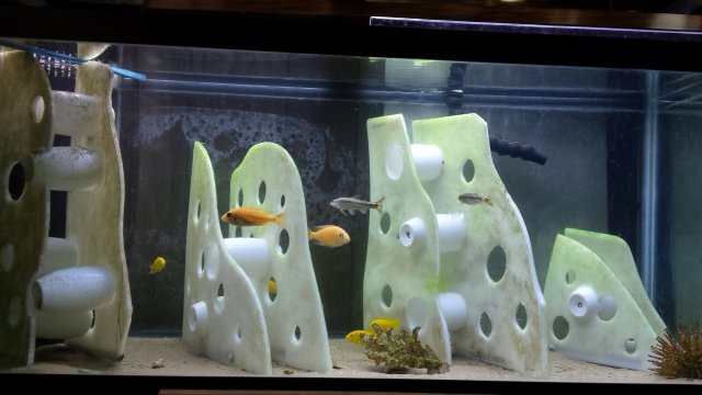 20160519_160422.jpg 20160519_160422.jpg