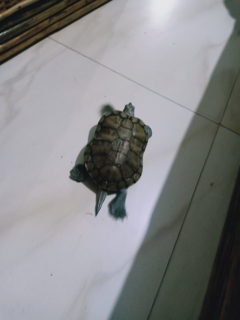 IMG20211012220744.jpg