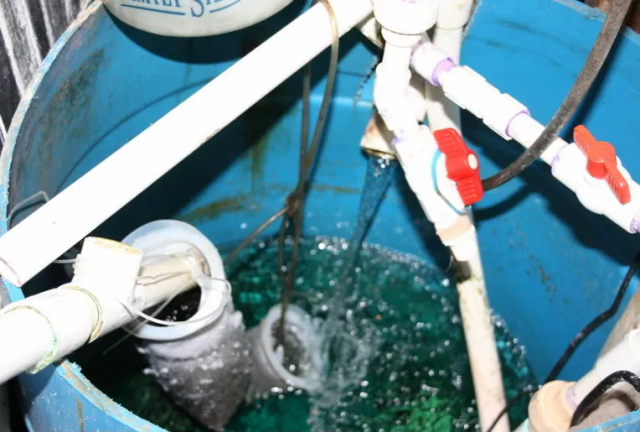 1634057638498.png 1634057638498.png