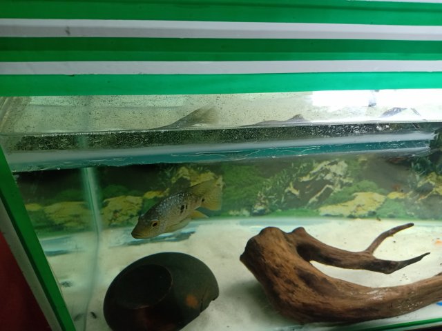 IMG20211013200951.jpg