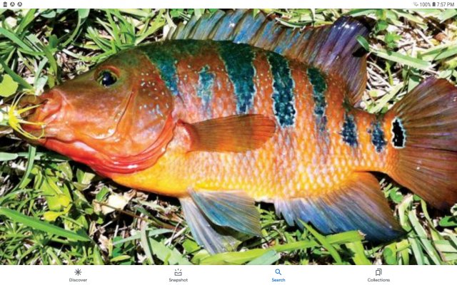 Screenshot_20211014-195718_Google.jpg