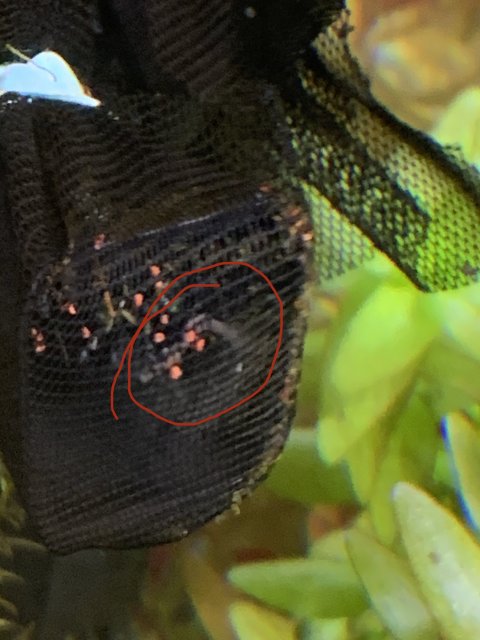 3B7B1F45-453B-425C-AF84-8CD640FB1F3E.jpeg 3B7B1F45-453B-425C-AF84-8CD640FB1F3E.jpeg