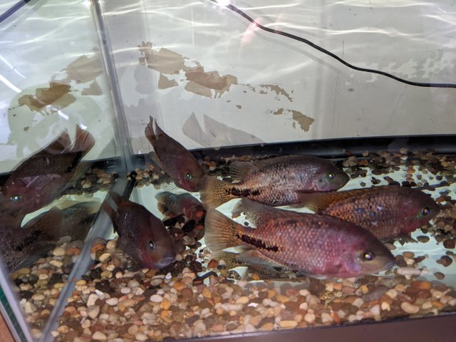 PXL_20211022_215224763.jpg