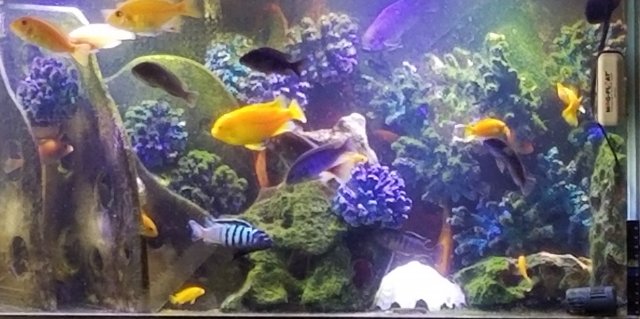 20211023_131801.jpg