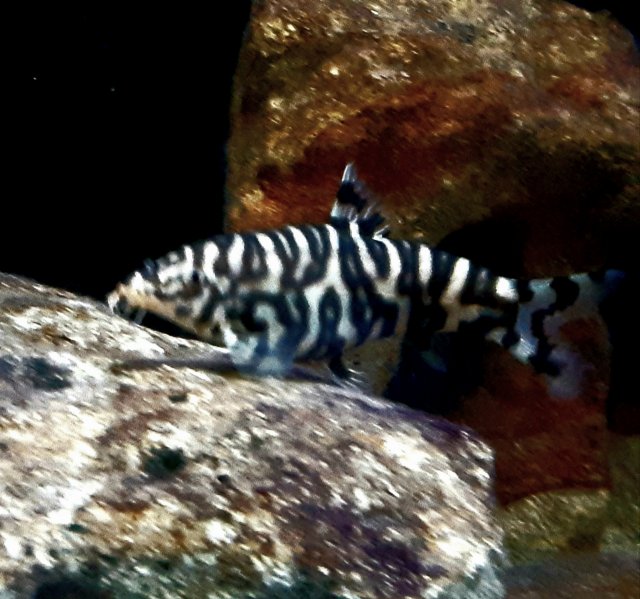 20211024_073901.jpg