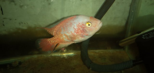 20211022_180213.jpg 20211022_180213.jpg