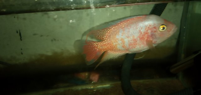 20211022_180223.jpg 20211022_180223.jpg