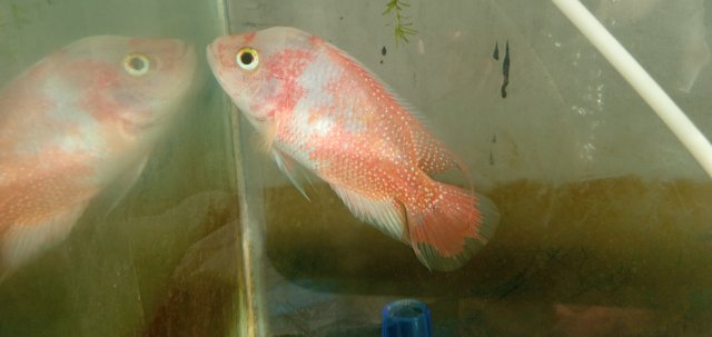 20211023_163159.jpg 20211023_163159.jpg