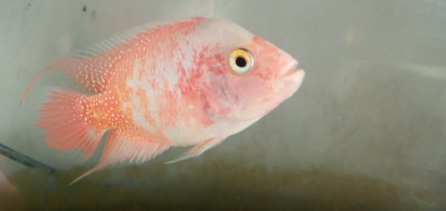 20211018_171436_mfnr.jpg 20211018_171436_mfnr.jpg