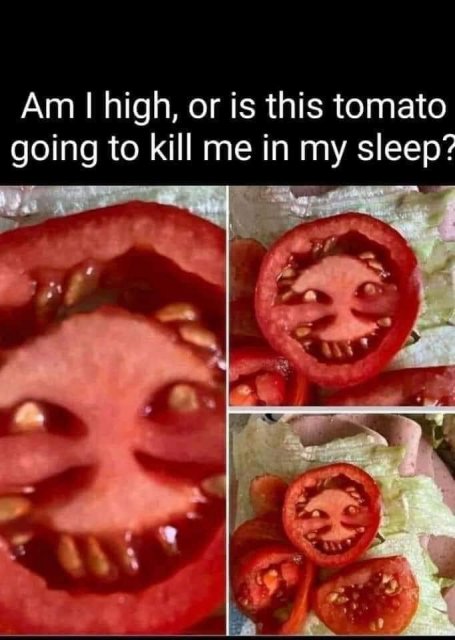 Ha117.jpg