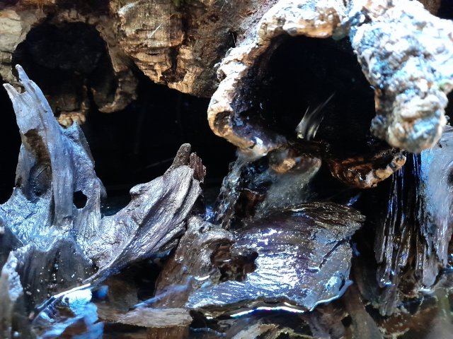 20211101_202401.jpg