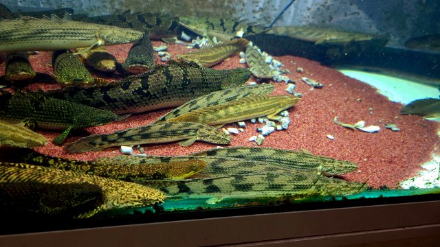 20211102_162022.jpg