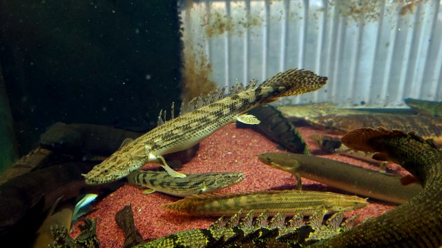 20211102_155914.jpg