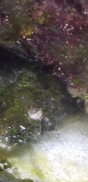 20211103_185229.jpg